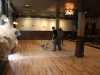 Commercial Hardwood Floor Refinishing in Indianapolis
